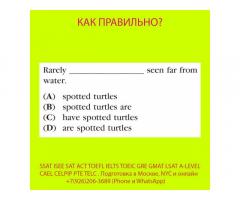 Курсы SSAT, ISEE, SAT, ACT, TOEFL, TOEIC преподаватель, репетитор из США