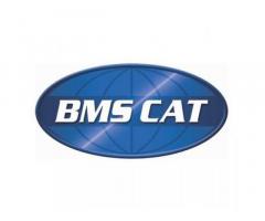 BMS CAT - Image 1